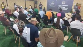 Monilíase do cacaueiro e serviços de inspeção são destacados no primeiro...