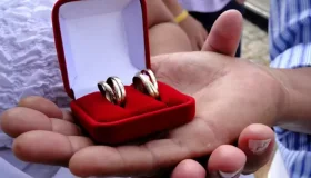 Rondonienses são os que mais se casam e também os que mais se divorciam no...
