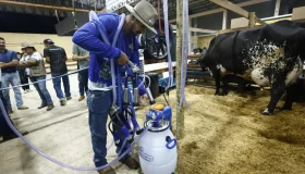 Terceiro dia: 12ª Rondônia Rural Show estimula avanço da cadeia produtiva e...