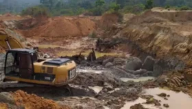 Justiça manda União e governo de RO combaterem garimpo ilegal perto da Terra...