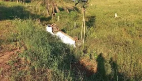 Motorista morre após carro capotar na RO 010 em Rolim de Moura