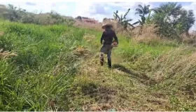 Prefeitura de Rolim de Moura notifica donos de terrenos baldios sobre limpeza...