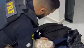 PRF apreende entorpecentes transportados em táxi e prende suspeito em Porto...