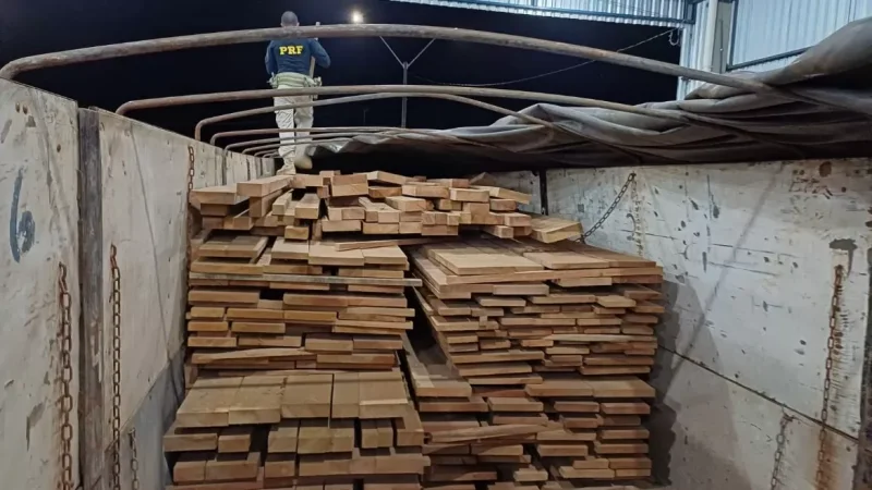 PRF apreende mais de 260 kg de drogas escondidos em carga de madeira, em Pimenta Bueno
