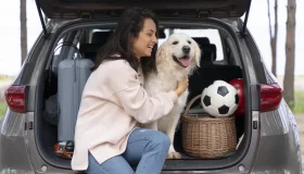Viajar com pet: como alimento úmido pode ser um aliado?