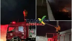 Bombeiros controlam incêndio em vegetação no antigo estádio Luz Alves...