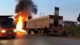 Caminhão boiadeiro pega fogo na BR-319 e três animais morrem; incêndio...