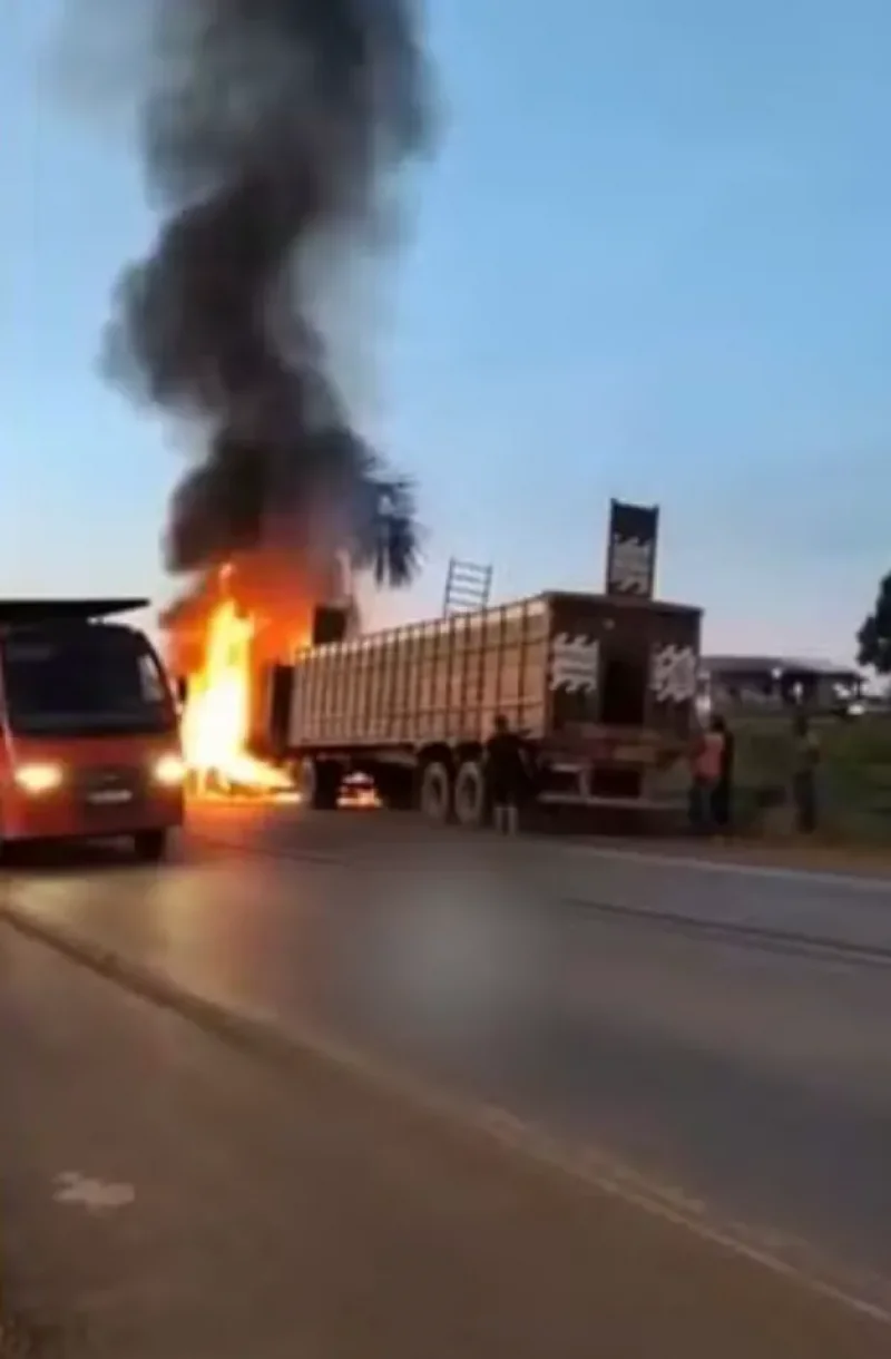 Caminhão boiadeiro pega fogo na BR-319 e três animais morrem; incêndio mobiliza resgate de bois