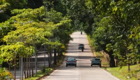 Licenciamento de veículos com placa final 7 vence dia 31 de julho, em Rondônia