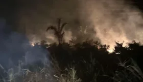 PF prende dois em flagrante por incêndios em áreas de vegetação em Rondônia