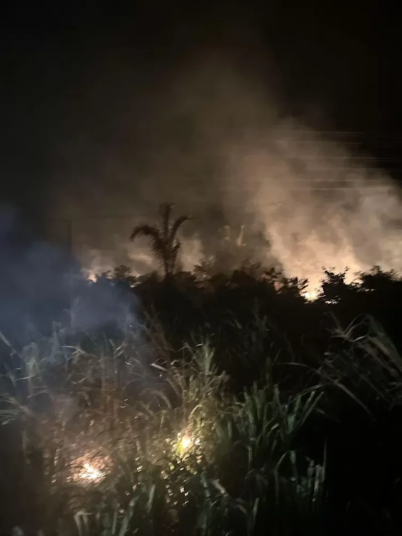 PF prende dois em flagrante por incêndios em áreas de vegetação em Rondônia