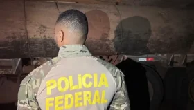 PF prende duas pessoas por transporte ilegal de madeira durante operação em...