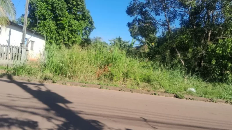 Foto 1 da matéria: Prefeitura de Rolim de Moura intensifica limpeza de terrenos baldios e já aplicou mais de R$ 13 mil em multas a proprietários