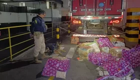 PRF apreende 400 kg de maconha em MG que teria saído de Rondônia