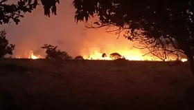 Vale do Guaporé: Primeiro foco de queimada deste ano, é registrado em...