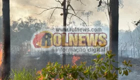 Incêndio em área de mata, atrás do CTG, mobiliza bombeiros e moradores em...