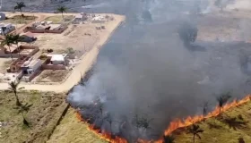 Incêndio de grandes proporções atinge área de vegetação no bairro Jardim...