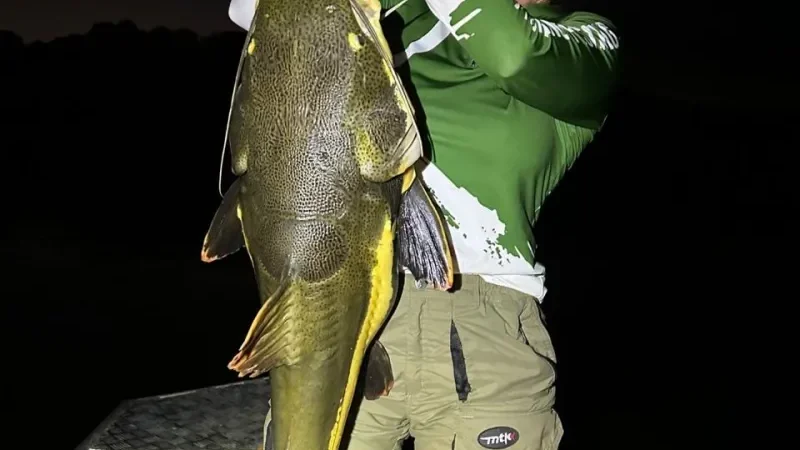 Foto 3 da matéria: Mulheres na Pesca realiza segunda edição com recorde de participantes em Porto Rolim, município de Alta Floresta/RO