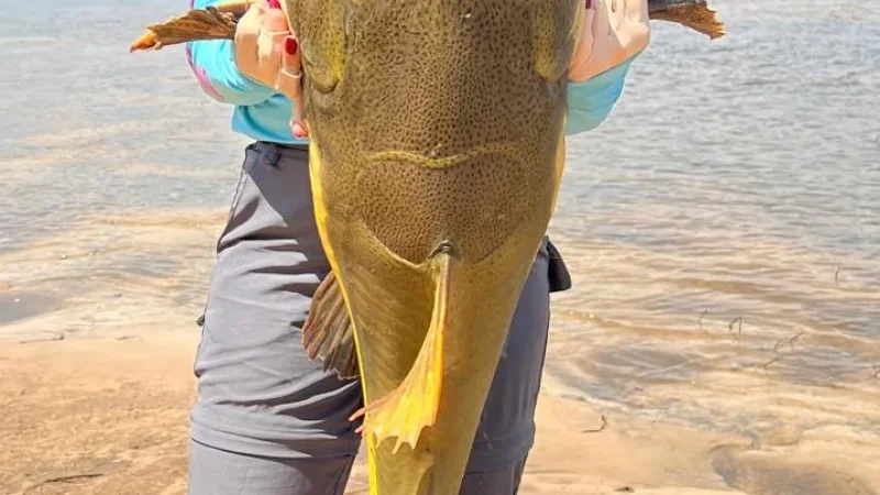 Foto 13 da matéria: Mulheres na Pesca realiza segunda edição com recorde de participantes em Porto Rolim, município de Alta Floresta/RO