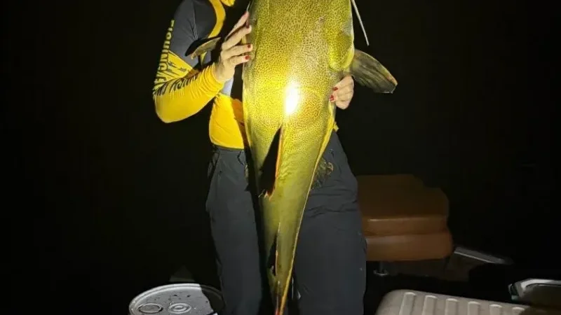 Foto 12 da matéria: Mulheres na Pesca realiza segunda edição com recorde de participantes em Porto Rolim, município de Alta Floresta/RO