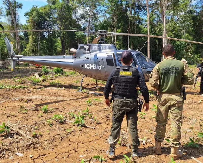 PF deflagra em combate a crimes ambientais em Rondônia