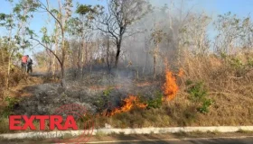 Polícia conduz três jovens à delegacia após incêndio criminoso em área de...