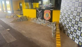 Polícia Federal apreende cerca de 350 kg de Skunk com apoio da PRF em Pimenta...