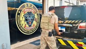 Polícia Federal prende dois por incêndio criminoso em área da União em...