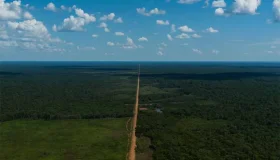 TCU mantém licença do Ibama para obras da BR-319 que ligam Rondônia ao...