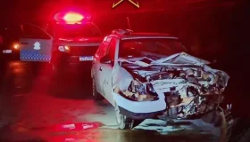 Veículo colide com bezerro na RO-010, em Rolim de Moura