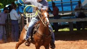 Apoio de Cirone fortalece esporte equestre em Rondônia