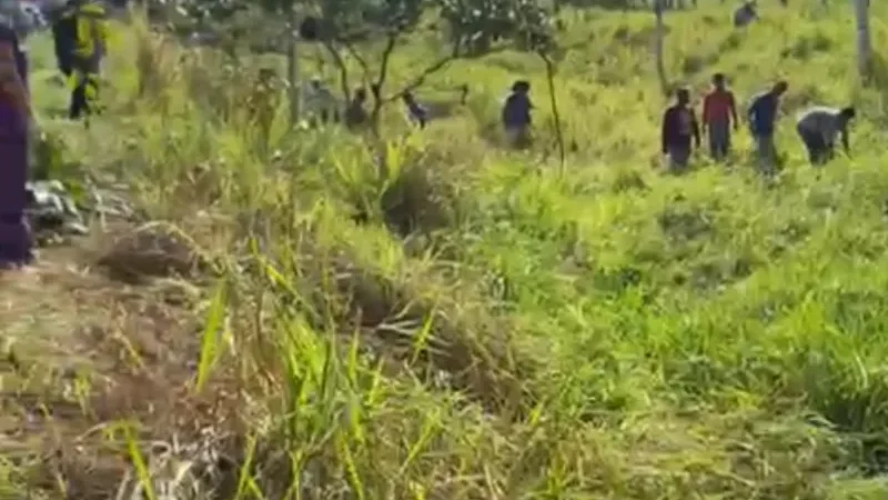 Foto 3 da matéria: Atualizada: Acidente na BR-429 em Seringueiras deixa duas crianças mortas e três adultos feridos