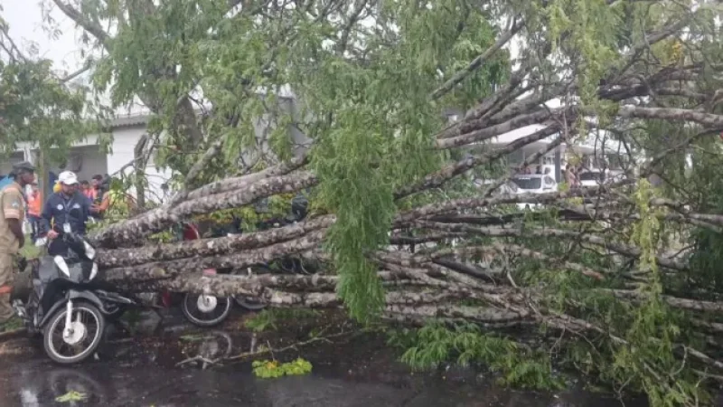 Foto 4 da matéria: Forte vendaval causa destruição em Vilhena e deixa rastro de prejuízos