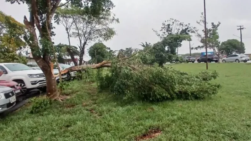 Foto 3 da matéria: Forte vendaval causa destruição em Vilhena e deixa rastro de prejuízos