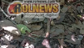 Ossada humana encontrada em Novo Horizonte é recolhida para perícia médica...