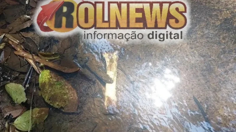 Foto 3 da matéria: Ossada humana encontrada em Novo Horizonte é recolhida para perícia médica indicar a causa da morte
