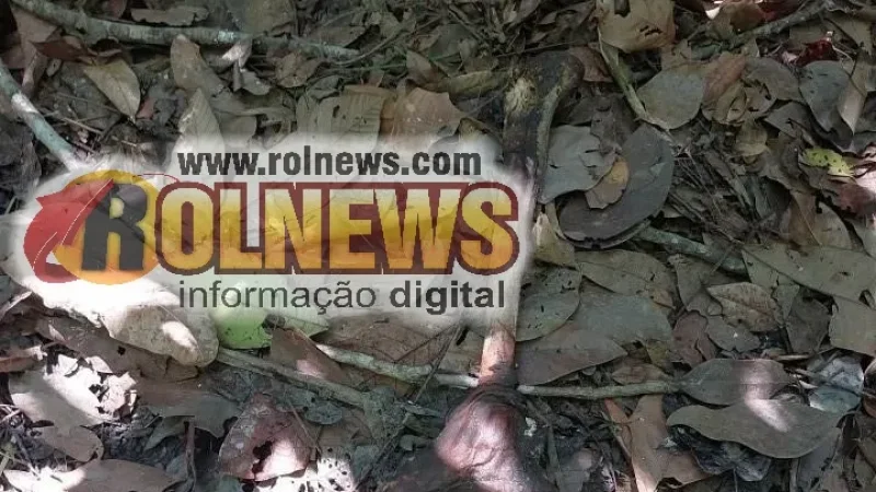 Foto 5 da matéria: Ossada humana encontrada em Novo Horizonte é recolhida para perícia médica indicar a causa da morte