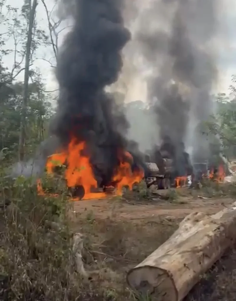 PF e Ibama deflagram Operação Lignum II contra exploração ilegal de madeira na Terra Indígena Roosevelt, em Espigão d’Oeste