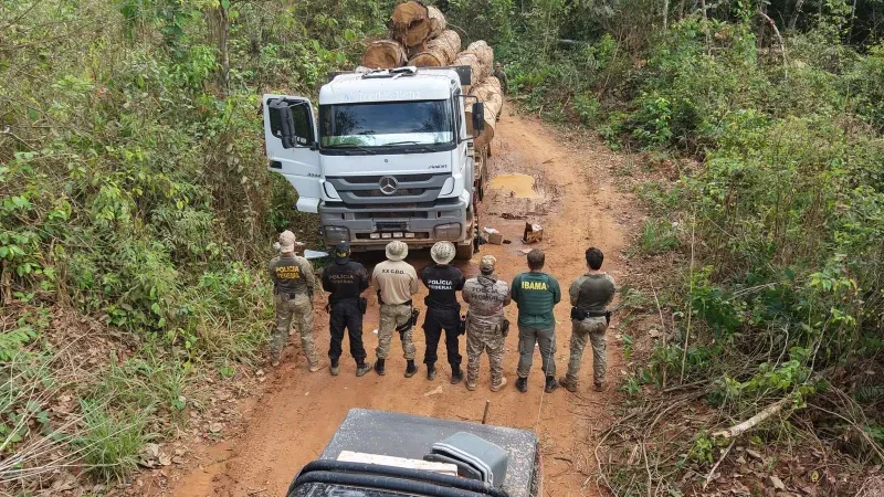 Foto 2 da matéria: PF e Ibama deflagram Operação Lignum II contra exploração ilegal de madeira na Terra Indígena Roosevelt, em Espigão d’Oeste