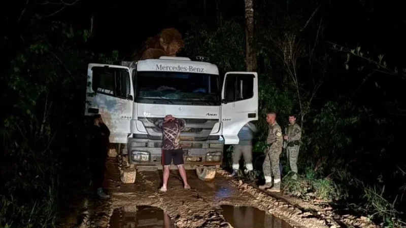 Foto 1 da matéria: PF e Ibama deflagram Operação Lignum II contra exploração ilegal de madeira na Terra Indígena Roosevelt, em Espigão d’Oeste