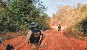 Polícia Federal deflagra Operação Golden Hair contra transporte ilegal de...