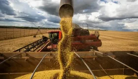 Rondônia amplia área produtiva e produtividade e chega a 5,4 milhões de...