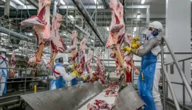 Rondônia recua 55% nas exportações de produtos para outros países