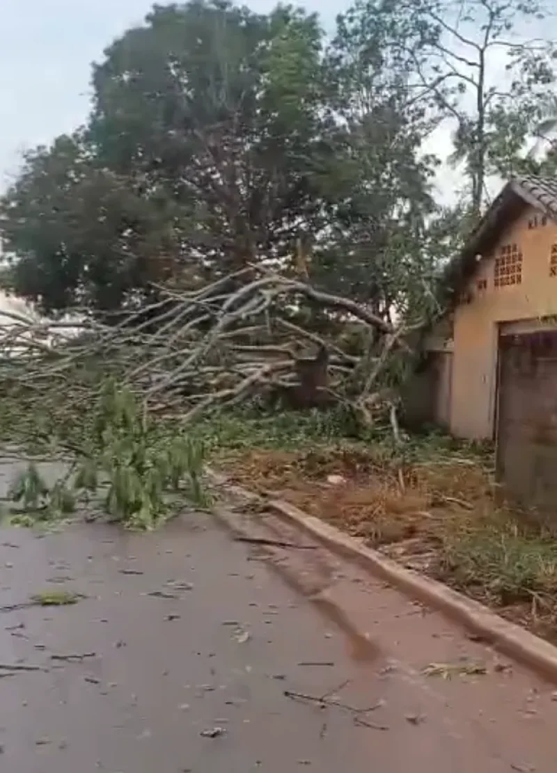 Temporal causa estragos em Cacoal e deixa moradores em alerta