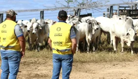 A partir de sábado, 1º, produtor terá 30 dias para atualizar cadastro...