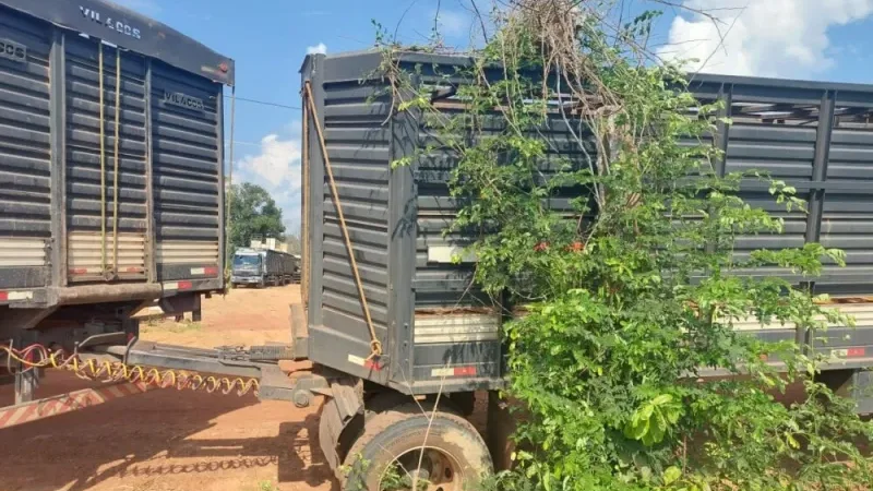 Foto 1 da matéria: Caminhão boiadeiro atinge poste e causa queda de energia na zona rural de Rolim de Moura