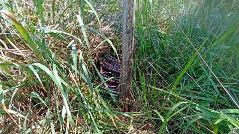 Foto 3 da matéria: Criminosos furtam cerca de 700 metros de fios de energia no Loteamento Buritis, em Rolim de Moura