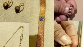 Polícia Civil prende suspeitos de roubo a família em São Francisco do...