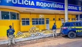 PRF apreende 230 tabletes de skunk em caminhão que saiu de Rondônia com...