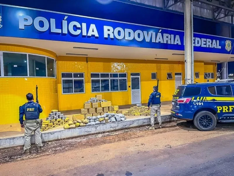 PRF apreende 230 tabletes de skunk em caminhão que saiu de Rondônia com destino a Goiás